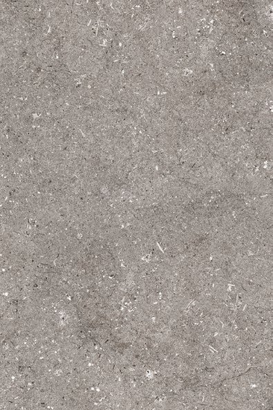 Limestone Fossil outdoor porcelain paver texture and color