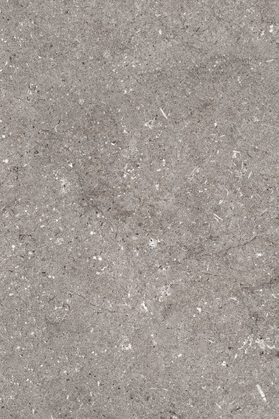 Limestone Fossil porcelain tile edge and surface variation
