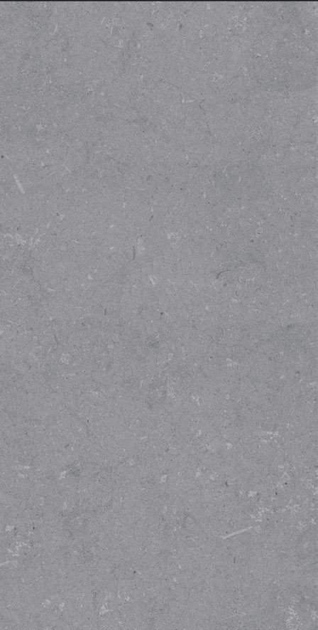Anthracite outdoor porcelain paver texture and color