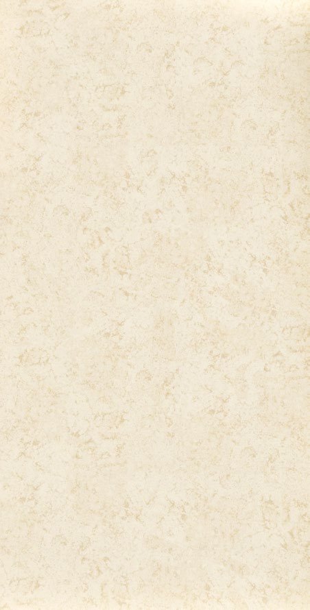 Marble Ariston outdoor porcelain paver texture and color